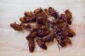 Dhaka Jail-50 Grams | Effective Cockroach Solution | No More Cockroaches. 
