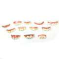 Single Piece Halloween Teeth Decorative Plastic Flexible Dentures Realistic Vampire Teeth for Halloween Party Children Cosplay. 