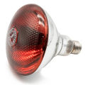 250 Watt Infrared Heat Lamp Bulb with Holder for poultry farm and Room. 