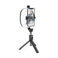 Hoco LV03 Plus Showfull Fill Light Live Broadcast TikTok Stand Holder Selfie Mobile Tripod. 