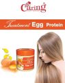 Caring Egg Protein Hair Treatment Hair Mask 500g.