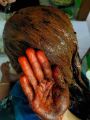 100% Natural Mehedi Pata Gura Henna Leaf Powder.