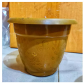 3Pis Combo Plastic Flower Pot 8inch Size. 