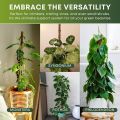 Coco Poles (24inch) for Climbing Plants | Coconut Palm Fiber Monstera Plant Support, Money Plants and etc. | Handmade Coco pole for Plant Support Sticks for Potted Plants..