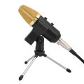 Unidirectional Condenser Microphone Voice Recording Studio Mic for PC Computer. 