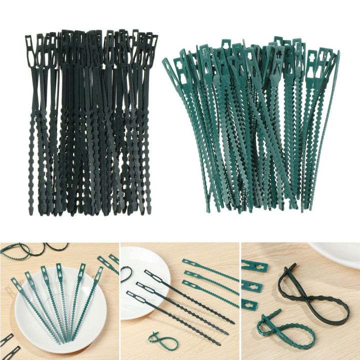 Reusable%20Gardening%20tool%20Plastic%20Shrubs%20Fastener%20Plant%20Cable%20Ties%20Tree%20Climbing%20Support%20Gardening%20Fishbone%20Ties%20-%20Image%207