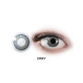 Freshlook Grey contact lens.