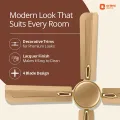 Orient Quadro Ornamental 56" Ceiling Fan (Golden Chocolate).