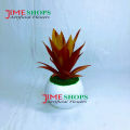 Artificial Rubber Cactus Plant In Small Plastic Tob 6 inc For Decoration. 