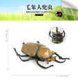 Cross-border static simulation insect model: spider, bull, praying mantis, butterfly, mosquito, insect, children's cognitive animal toys. 