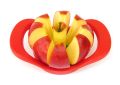 Apple Cutter Apple Slicer. 