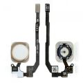 for iPhone 5s Home Button with Flex Cable Ribbon Replacement.
