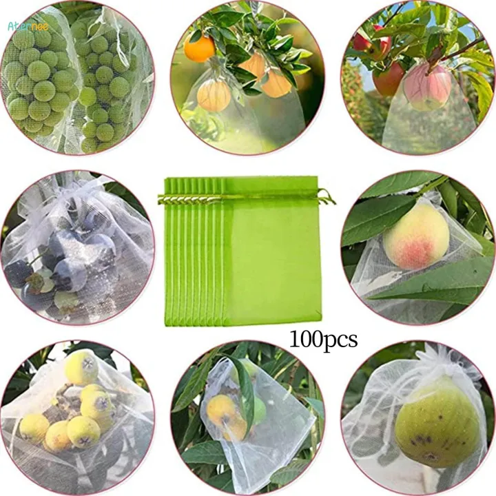 100%20Pieces%20Fruit%20Protection%20Bags%20Fruit%20Netting%20Cover%20Bags%20for%20Veggies%20Garden%2015cmx20cm%20-%20Image%202