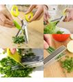 Multi bleed Vegetable cutter scissor. 
