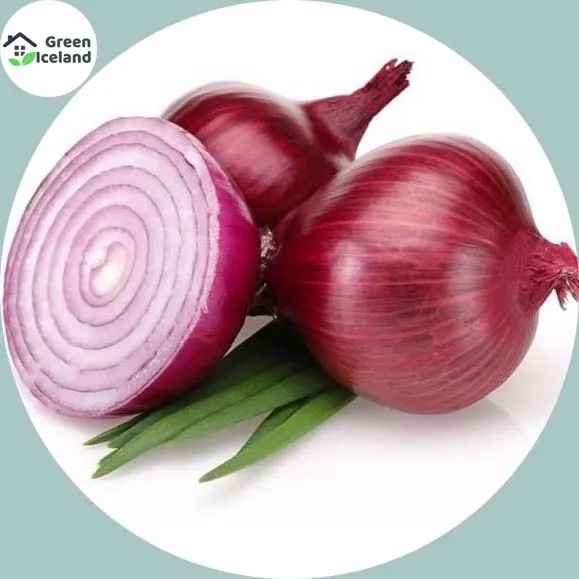 Red%20Onion%20Seeds(%E0%A6%AA%E0%A7%87%E0%A6%81%E0%A7%9F%E0%A6%BE%E0%A6%9C%E0%A7%87%E0%A6%B0%20%E0%A6%AC%E0%A7%80%E0%A6%9C)%20-%2070%20Pcs%20Seeds%20-%20Image%202
