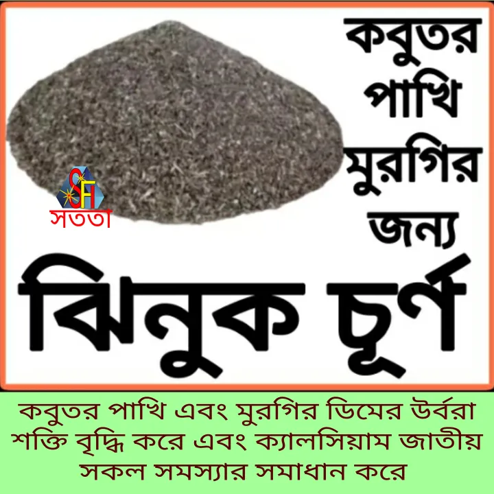januk%20curno%20oyster%20Shell%20for%20Pigeons%20&%20Aqua%20Culture--1kg%20-%20Image%202