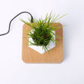 Levitating Plant Pot Rotation Flower Planters Magnetic Levitation Display Pot For Home Garden Office Desk. 