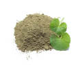 Centella Leaf Powder (Thankuni Pata) - 100g. 
