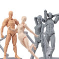 1 Set Anime Drawing Figures For Artists Body Action Figure Model Human Toy Doll. 