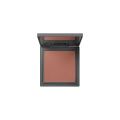 Alix Avien Blush - 109 Pretty Blush - 12 gm. 