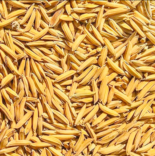 Pakistani%20Basmoti%20Rice%20Seeds%20-%20Image%203