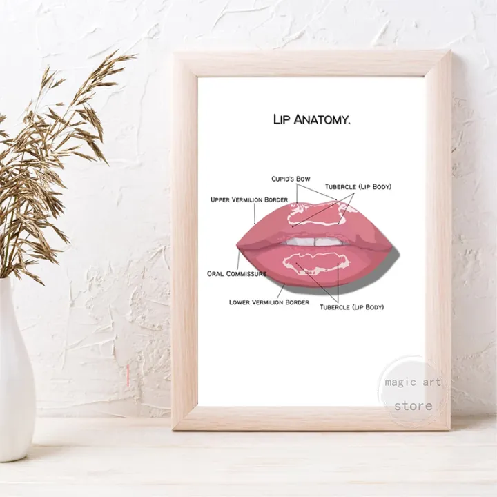 Face%20Anatomy,The%20Human%20Skin%20,lip%20,hair%20Anatomy%20Muscle%20Detailed%20Medical%20Art%20Poster%20Canvas%20Painting%20Wall%20Print%20Picture%20Home%20Decor%20-%20Image%205