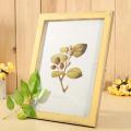 Solid Wood Rectangle Photo Picture Frame Ivory/ Wood(/ Blue/ Yellow/ Green for living room bedroom office restaurant. 
