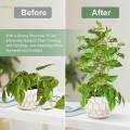 Plant Trellis Decorative Plant Cages Garden Trellis Flower Pots Support for Vegetables Vines.