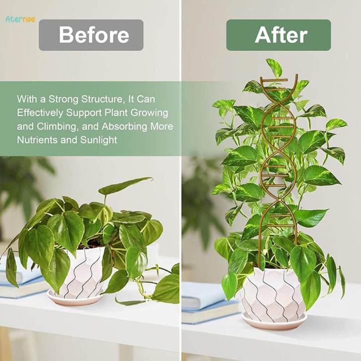 Plant Trellis Decorative Plant Cages Garden Trellis Flower Pots Support for Vegetables Vines