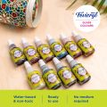 Fevicryl Water Based Glass Colours 10 Assorted (115ml). 