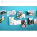 Wall Hanging Photo Display Clip Photo Holder Multifunctional Photo Frame String Hanging Photo Clip Picture Clip for Bedroom Living Room Gift. 