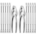 Sea Tool Kit,Stainless Steel Crab Leg Cracker and Forks Nut Cracker Shellfish Sheller 12Pcs. 