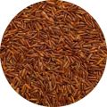 Red Aus Rice/ Lal Aus Cal- 1 kg. 