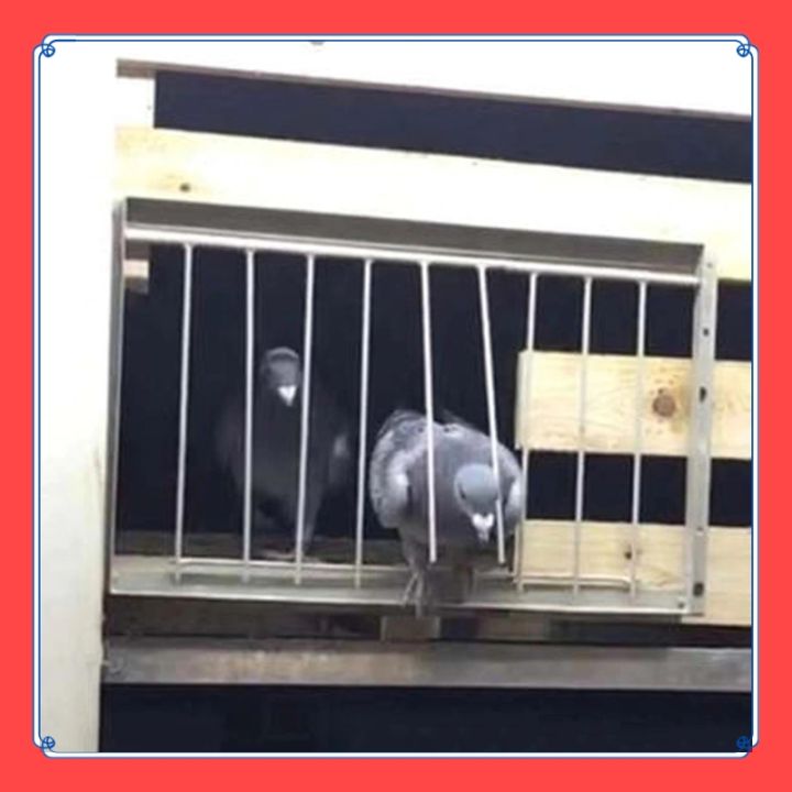 VibeVendor%205%20Pcs%20Pigeon%20Door%20Single%20T-Trap%20Racing%20Pigeon%20Cage%20Door%20One-way%20door%20strip%20T%20Entrance%20Wire%20Trap%20Door%20Curtain%20Pigeon%20door%20accessories%20-%20Image%204