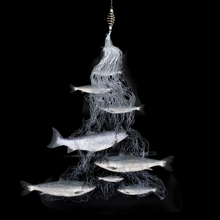 Fishing%20Net%20Trap%20Mesh%20Luminous%20Bead%20Netting%20Sea%20Fish%20Net%20Tackle%20Design%20Copper%20Shoal%20Cast%20Gill%20Feeder%20for%20fishing%20Trap%20-%20Image%202