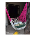 Hand Made Dulna Adult Rope Bed Hanging Dulna Use For All People Large Swing Rope Bed Rattan Dulna - Dolna. 