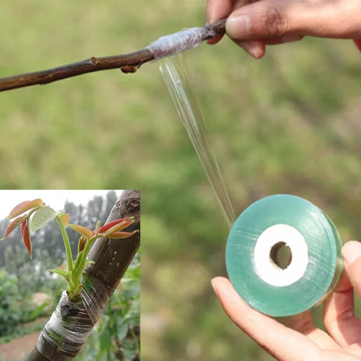 Gardening%20PVC%20Film%20Grafted%20with%20Grafting%20Tape%20Plants%20Gardening%20Tools%20Nursery%20-%20Image%205