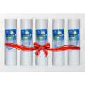 5 Pcs Lan Shan PP filter cartridge Combo Pack (10 Inch). 