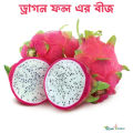 Dragon Fruits Seeds 30 pice + gift. 