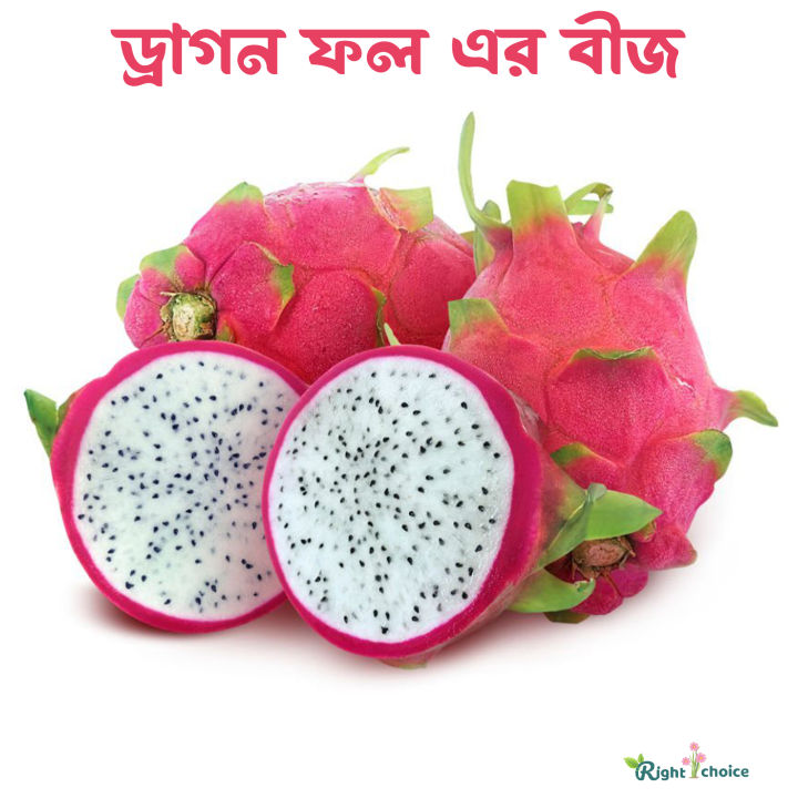 Dragon Fruits Seeds 30 pice + gift