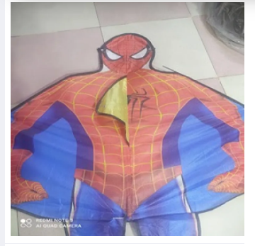 Flying kite for children