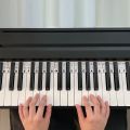 Piano Notes Sticker Removable Piano Keyboard Note Labels Staff Piano Key Stickers 88-Key Full Size. 