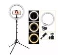 12" Ring Light with Boom Arm, LED Circle Light Desk Tripod Stand with Wireless Remote Control for TikTok/Makeup/Vlog/Streaming Online/Meeting.