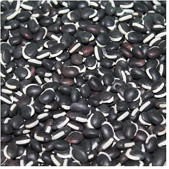 Dry%20Beans%20(Shim-er%20Bichi)%20%E2%80%93%20250gm%20%7C%20Protein%20&%20Fiber%20Rich%20Pulses%20-%20Image%202