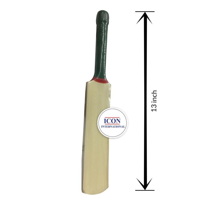 Signature/Autobiography Cricket Bat - 13Inch - cricket bat