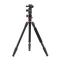 Simpex Professional Aluminium Tripod 540-TM Tripod Cum Monopod with Multipurpose Head for Low Level Shooting, Panning for All DSLR Camera. 