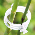Plant Clip Supports Reusable Plastic Connects Fixing Vine Vegetable Plants Orchard and garden Tools.