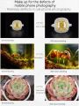 Walking Way Mobile Phone Macro Lens for phone 4K 20X/40X 37MM Close-up Photography Professional HD Macro Lens for Smartphone. 