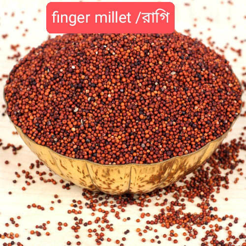 Finger Millet Ragi 500G
