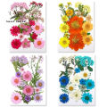 Sweet Journal 18PCS Pressed Flower Mixed Dried Flowers Natural Floral DIY Crafts Scrapbooking Resin Art Journaling Decorative.